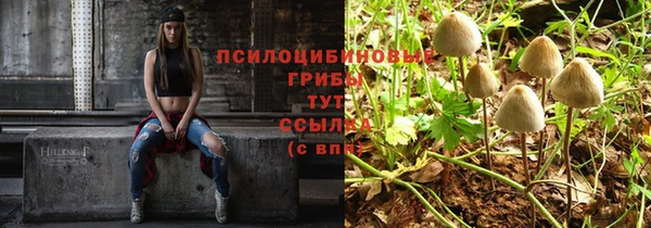 героин Алексин