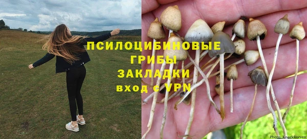 героин Алексин