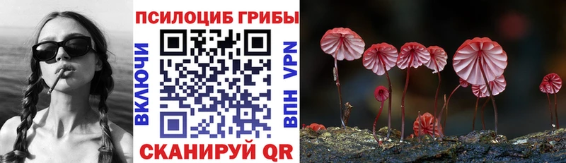 Псилоцибиновые грибы Psilocybine cubensis  Белебей 